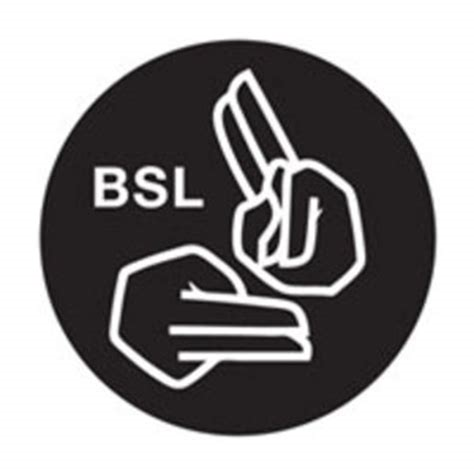 BSL Logo logo image